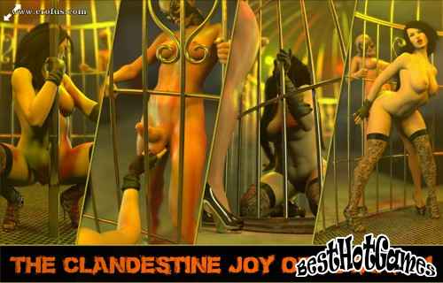 The clandestino joy of futanari